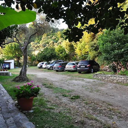 χαγιάτι